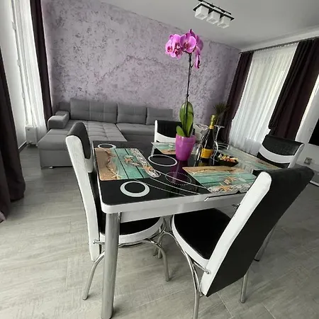 Apartament Ioana Daire